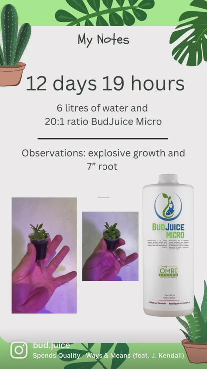 BudJuice Micro Engrais Liquide Biologique – Tout Usage, Engrais Végétal Riche en Nutriments Naturels 