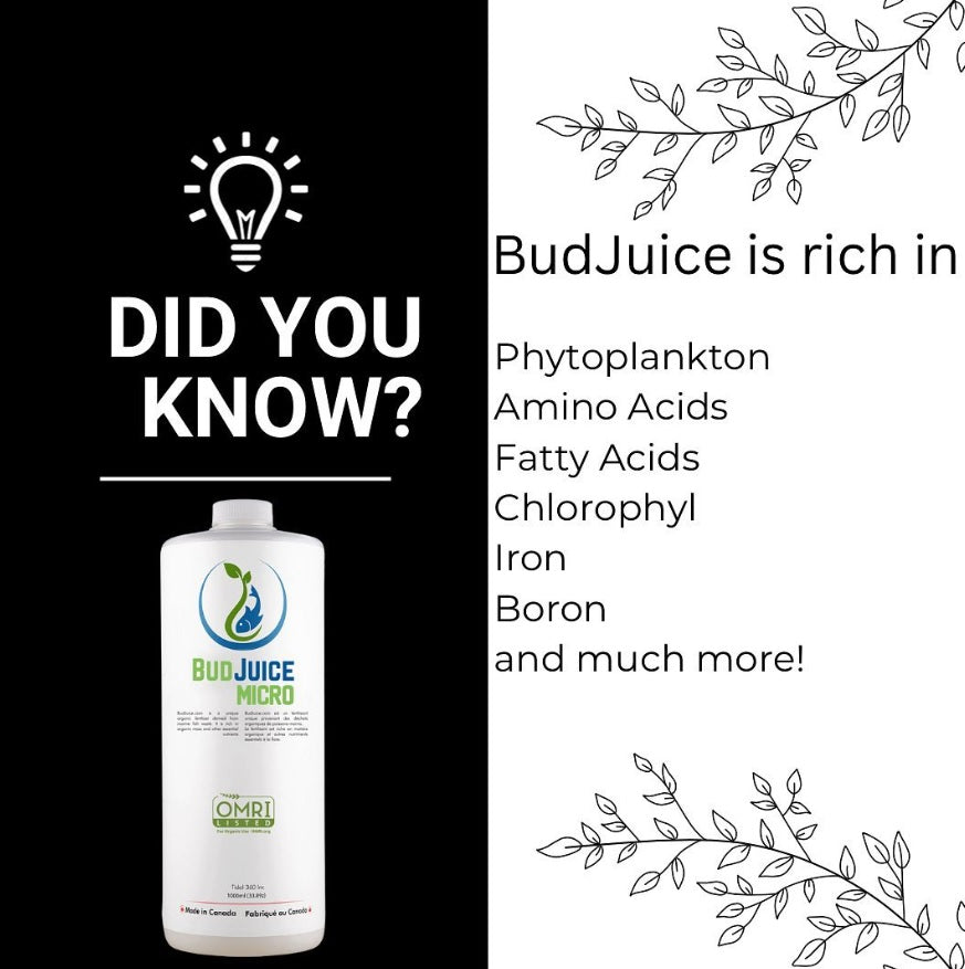BudJuice Micro Organic Liquid Fertilizer – All Purpose, All Natural Nutrient Rich Plant Food - BudJuice